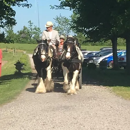 øbjerggaard *